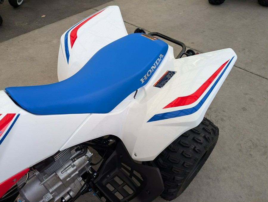 2026 Honda TRX250X