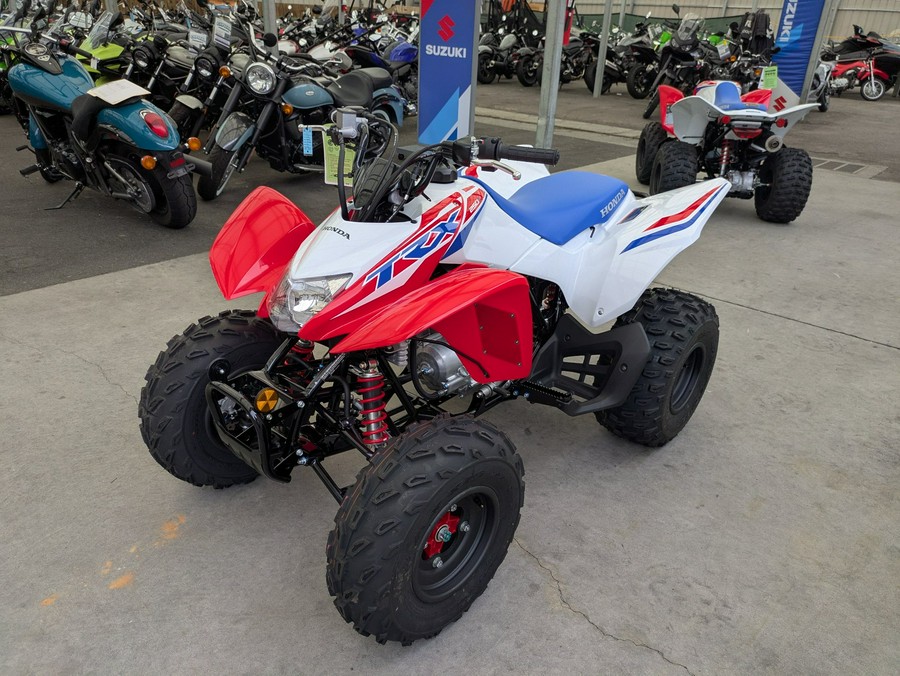 2026 Honda TRX250X