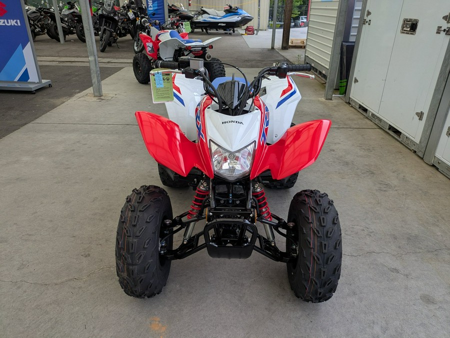 2026 Honda TRX250X