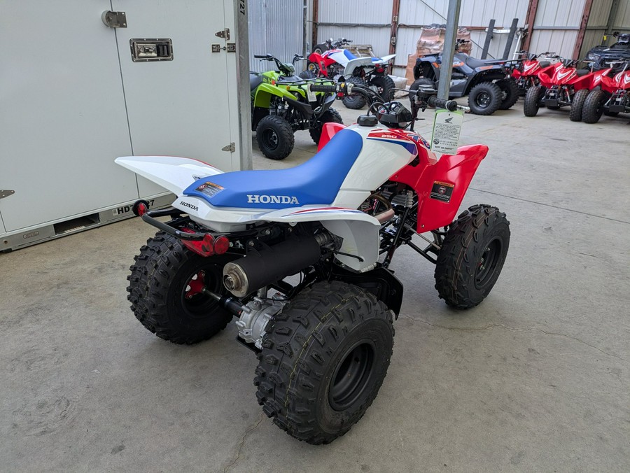 2026 Honda TRX250X