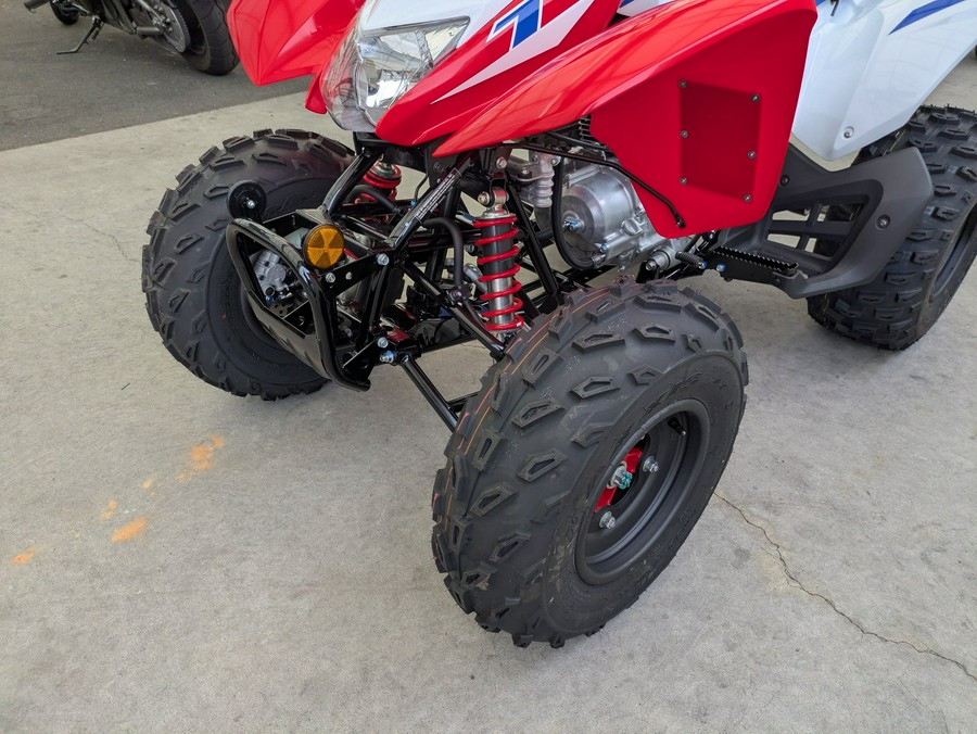 2026 Honda TRX250X