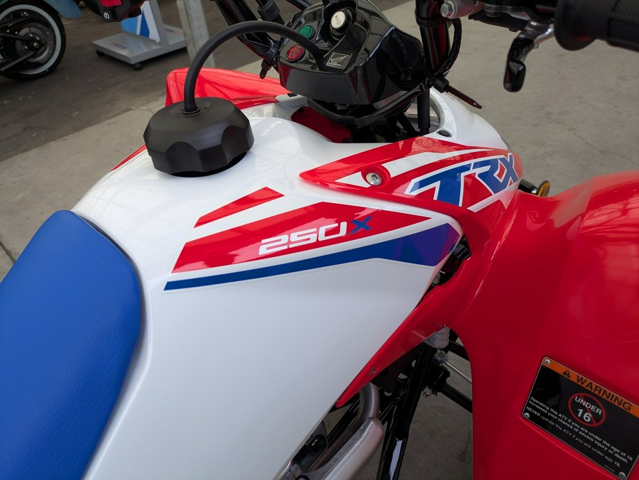 2026 Honda TRX250X