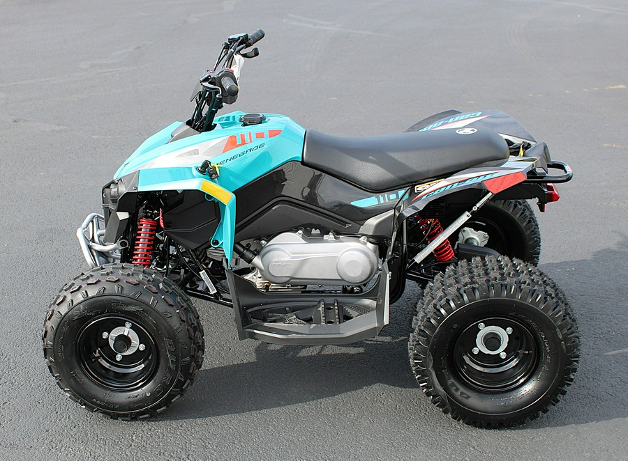 2026 CAN-AM RENEGADE 110 EFI