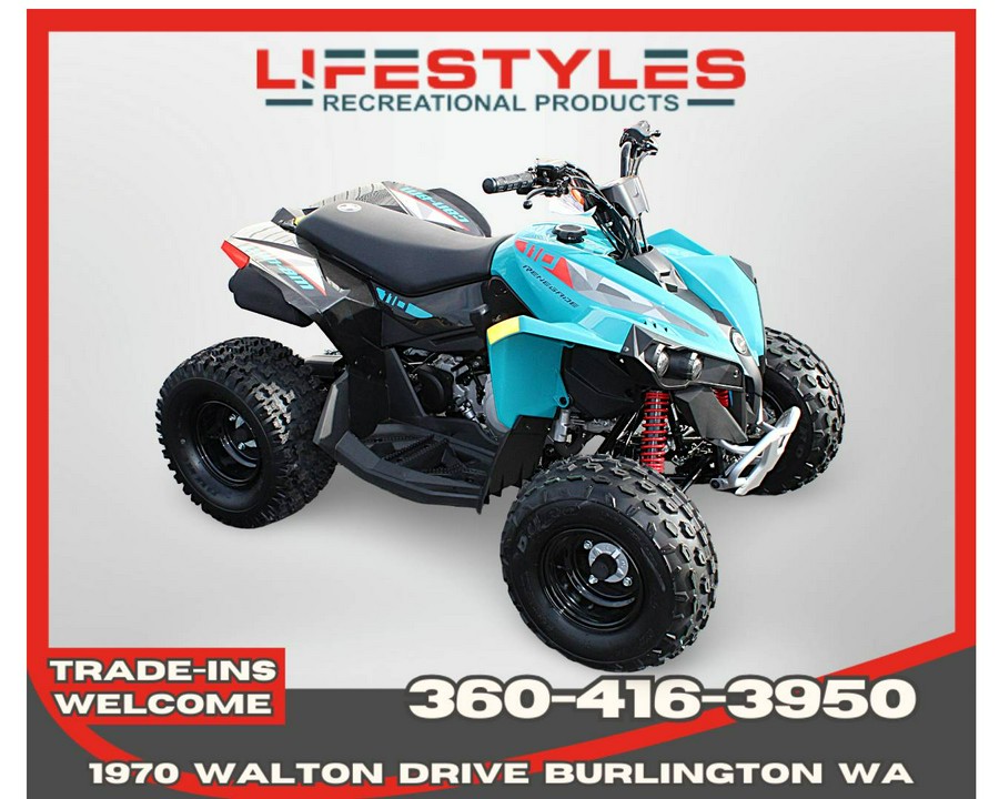 2026 CAN-AM RENEGADE 110 EFI