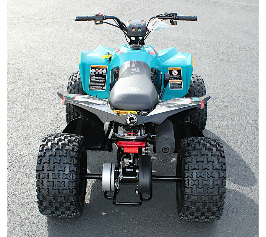 2026 CAN-AM RENEGADE 110 EFI
