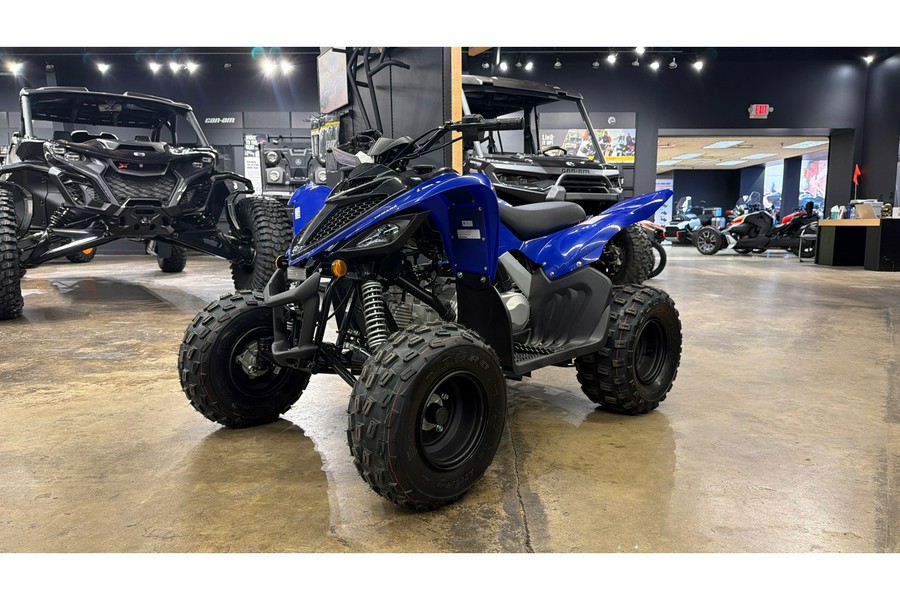 2026 Yamaha Raptor 110