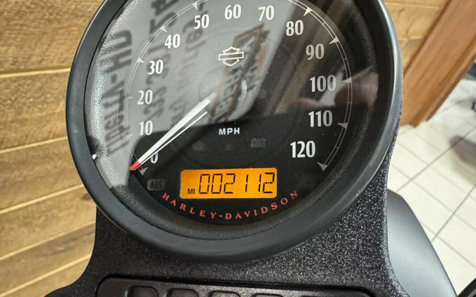 2020 Harley-Davidson® Iron 883™ Bright Blue XL883N