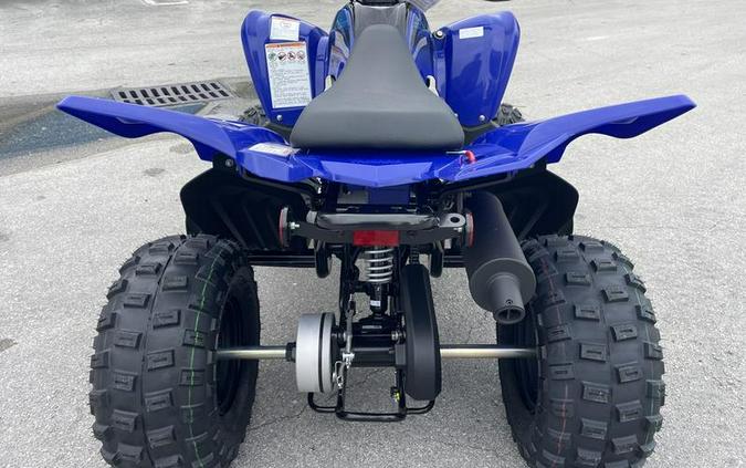 2024 Yamaha Raptor 110