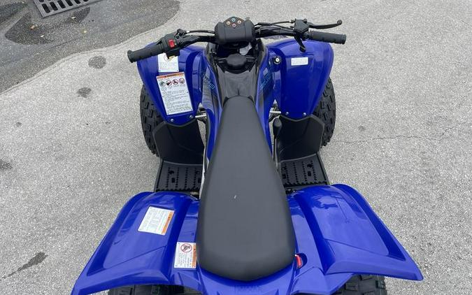 2024 Yamaha Raptor 110