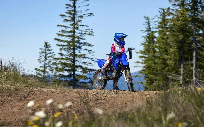 2026 Yamaha Motor Corp., USA TT-R125LE