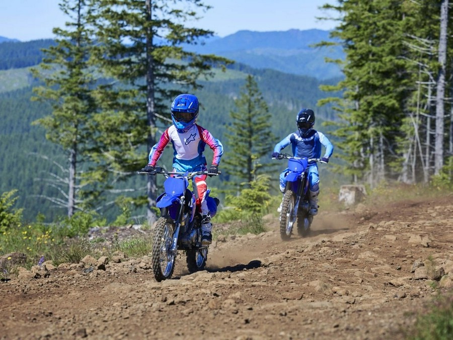 2026 Yamaha Motor Corp., USA TT-R125LE