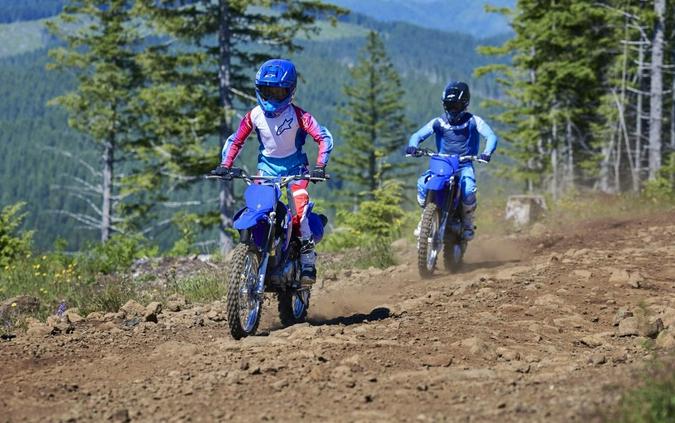 2026 Yamaha Motor Corp., USA TT-R125LE