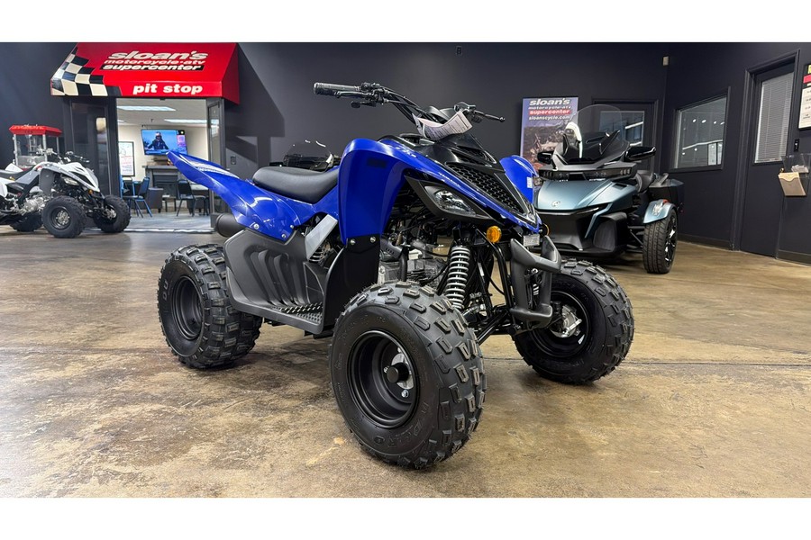 2026 Yamaha Raptor 110