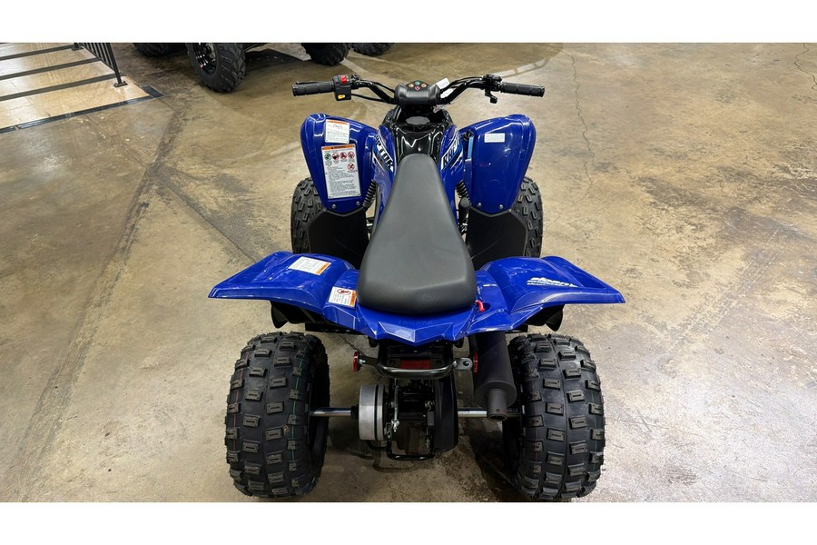 2026 Yamaha Raptor 110