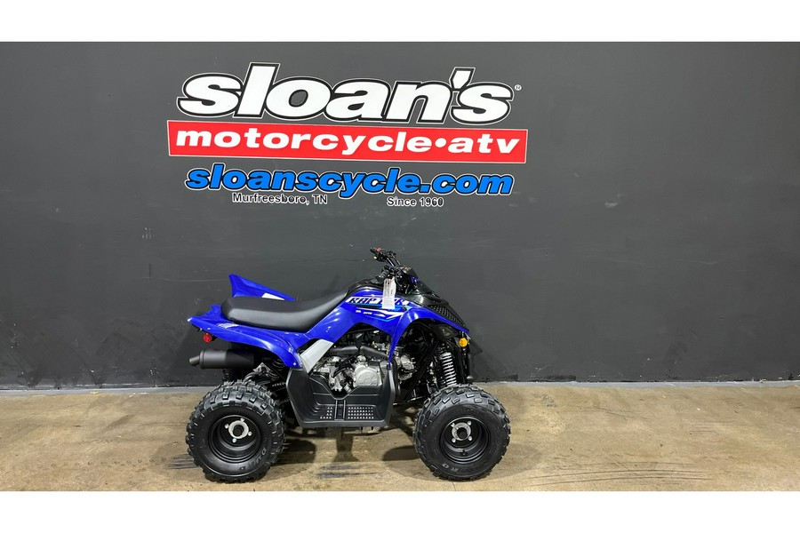 2026 Yamaha Raptor 110