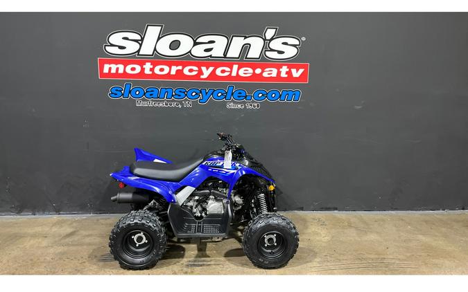 2026 Yamaha Raptor 110
