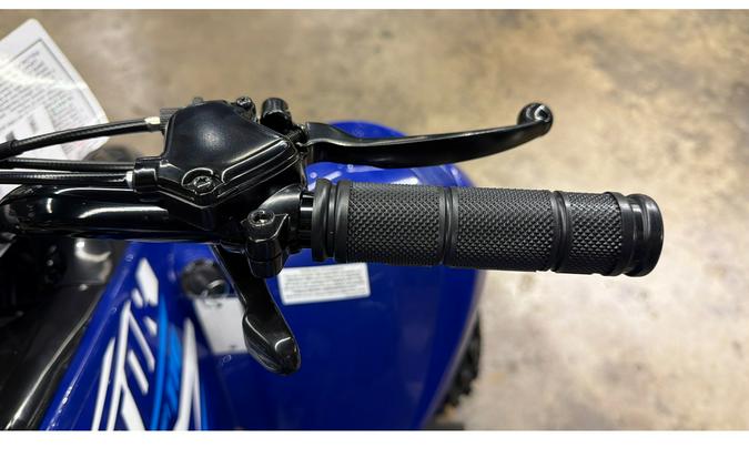 2026 Yamaha Raptor 110