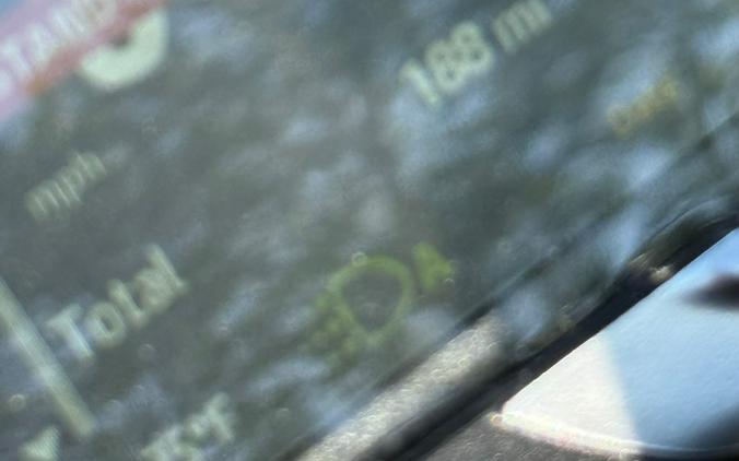 2024 Ducati Scrambler Icon