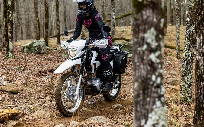 2023 Honda XR150L First Look Preview