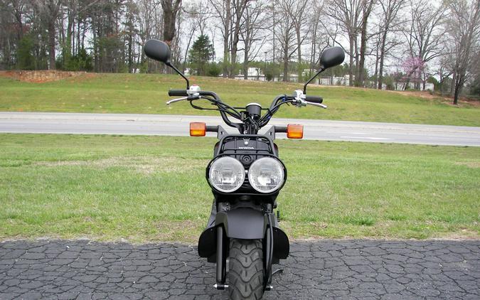 2024 Honda Ruckus