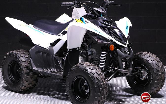 2022 Yamaha Raptor 90