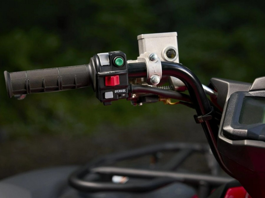 2025 Yamaha Grizzly EPS