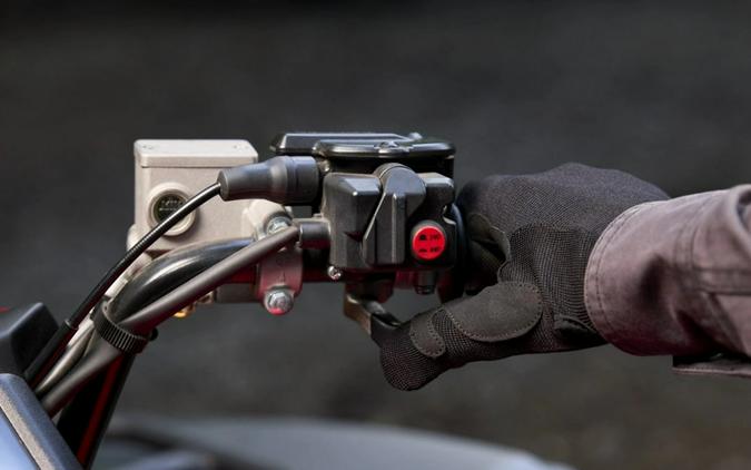 2025 Yamaha Grizzly EPS