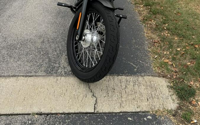 FXBB 2019 Street Bob