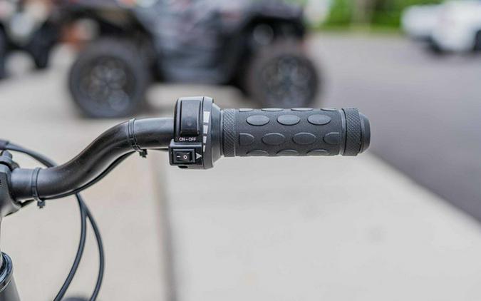 2024 Stacyc 16Edrive Brushless