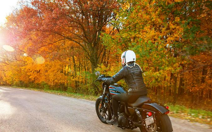 2021 Harley-Davidson Iron 1200™