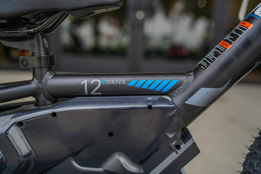 2024 Stacyc 12Edrive