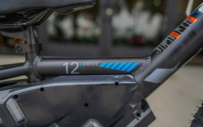 2024 Stacyc 12Edrive