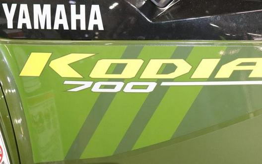 2024 Yamaha Kodiak 700