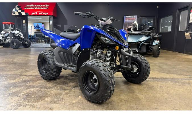 2026 Yamaha Raptor 110