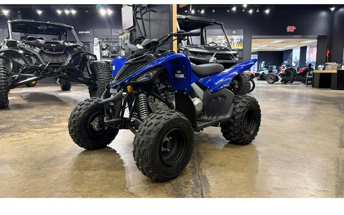 2026 Yamaha Raptor 110
