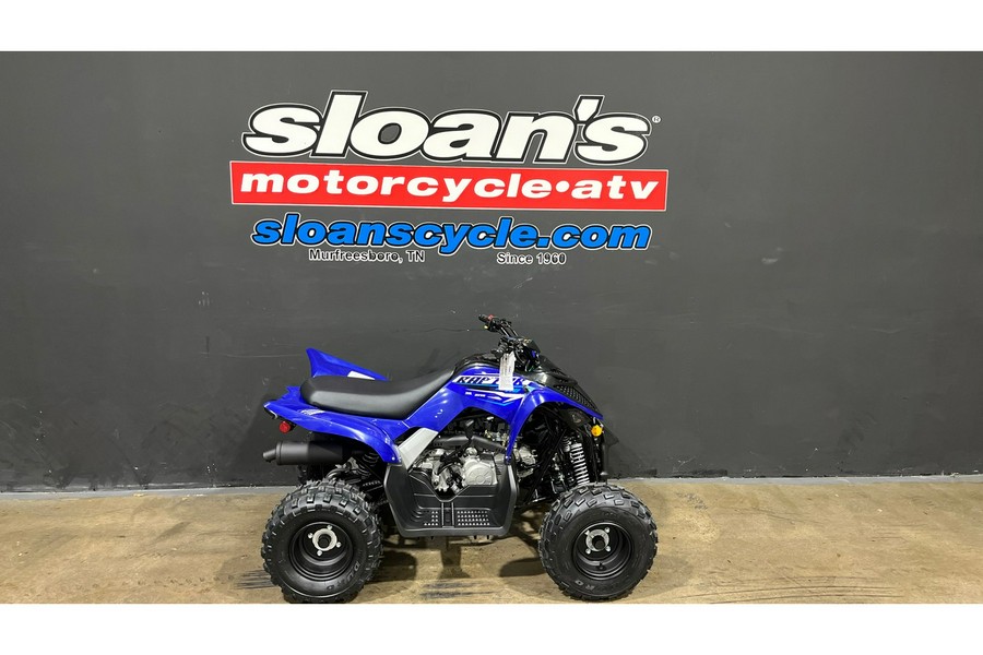 2026 Yamaha Raptor 110