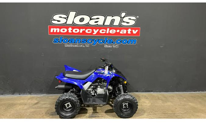 2026 Yamaha Raptor 110
