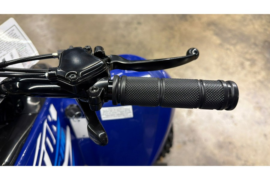 2026 Yamaha Raptor 110