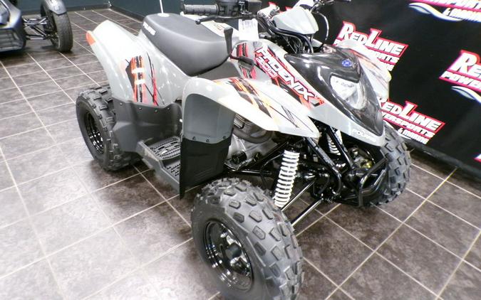 2024 Polaris® Phoenix 200