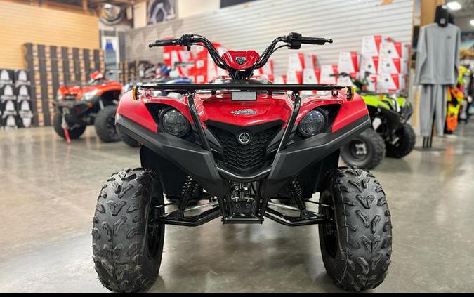 2025 Yamaha Grizzly 110