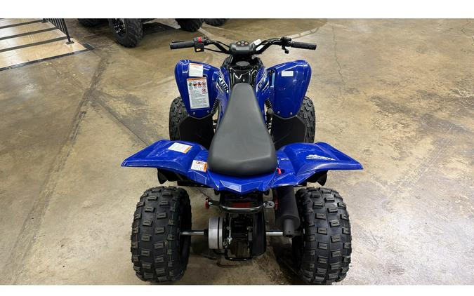 2026 Yamaha Raptor 110