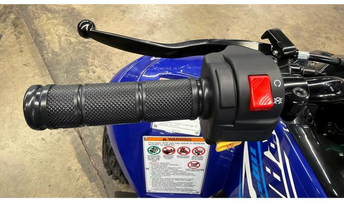 2026 Yamaha Raptor 110