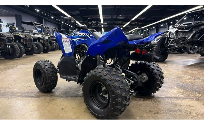 2026 Yamaha Raptor 110