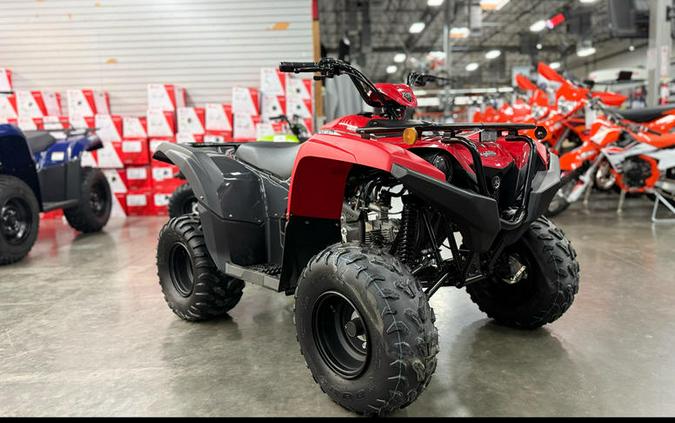 2025 Yamaha Grizzly 110