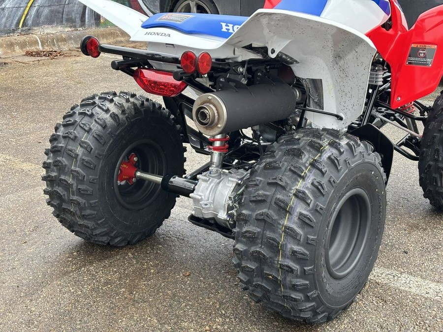 2026 Honda® TRX250X