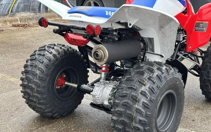 2026 Honda® TRX250X