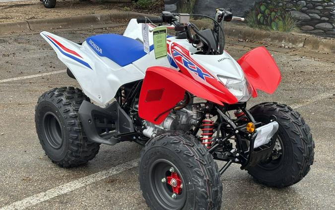 2026 Honda® TRX250X