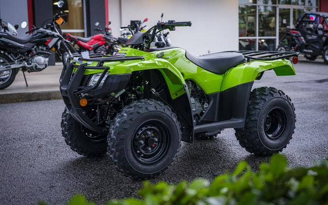 2024 Honda® Fourtrax Recon