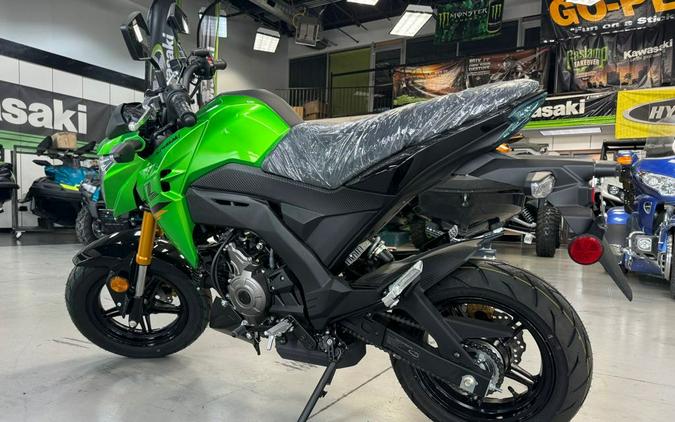 2024 Kawasaki Z125 Pro