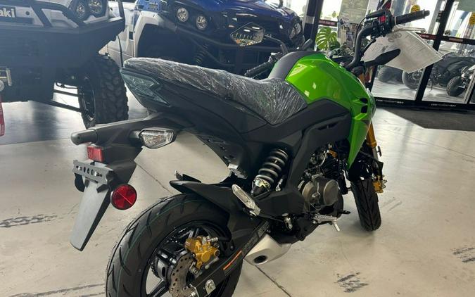 2024 Kawasaki Z125 Pro